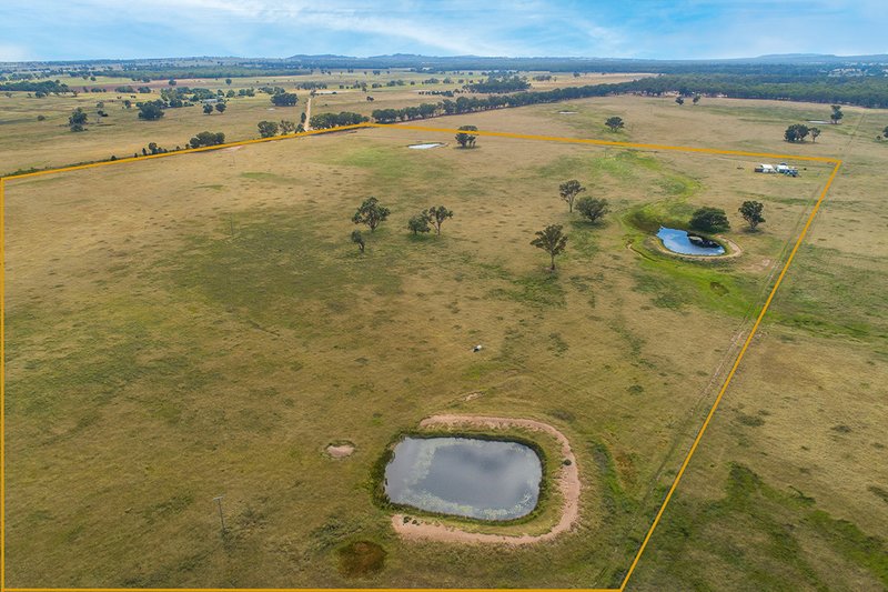 Photo - 96 Stubbo Road, Gulgong NSW 2852 - Image 6