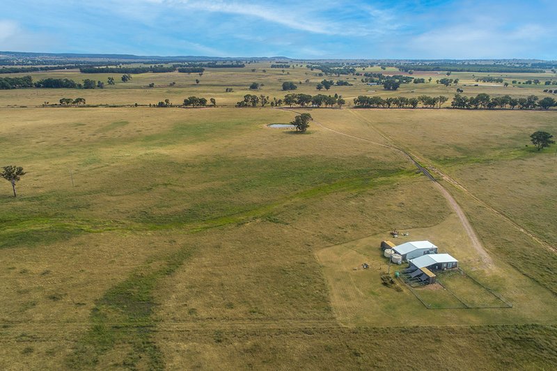 Photo - 96 Stubbo Road, Gulgong NSW 2852 - Image 7