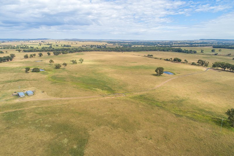 Photo - 96 Stubbo Road, Gulgong NSW 2852 - Image 8