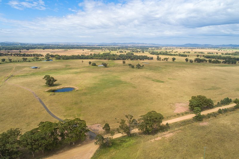 Photo - 96 Stubbo Road, Gulgong NSW 2852 - Image 9