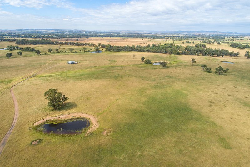 Photo - 96 Stubbo Road, Gulgong NSW 2852 - Image 10