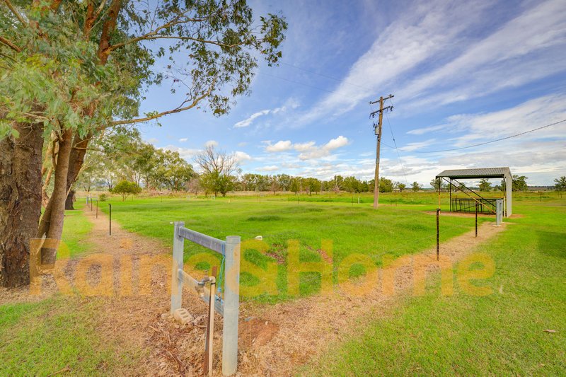 Photo - 963 Wallamore Road, Tamworth NSW 2340 - Image 21