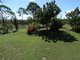 Photo - 964 Gorge Road, Taunton QLD 4674 - Image 15