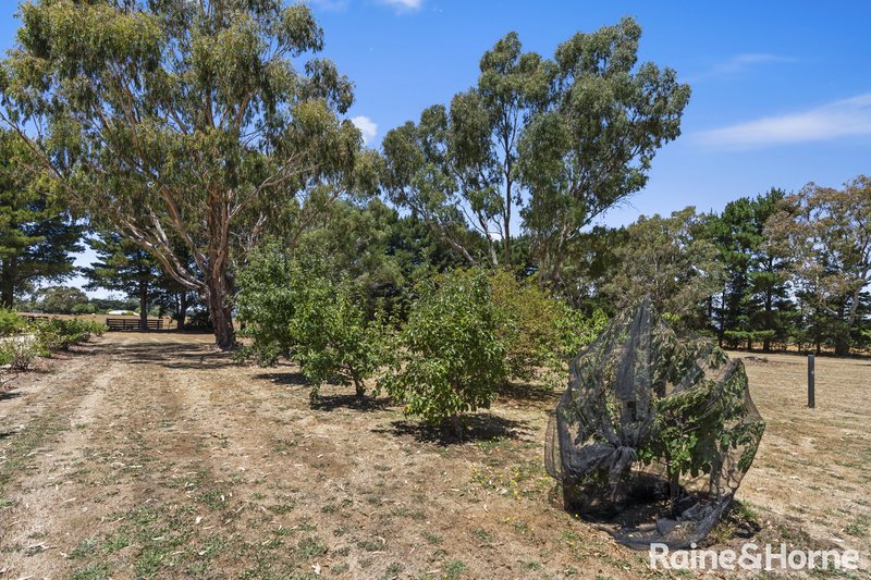 Photo - 964 Kyneton-Metcalfe Road, Greenhill VIC 3444 - Image 21