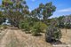 Photo - 964 Kyneton-Metcalfe Road, Greenhill VIC 3444 - Image 21