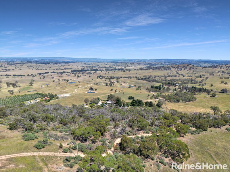 Photo - 968 Limekilns Road, Yarras NSW 2795 - Image 6