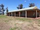 Photo - 968 Mckenzie Road, Echuca VIC 3564 - Image 9