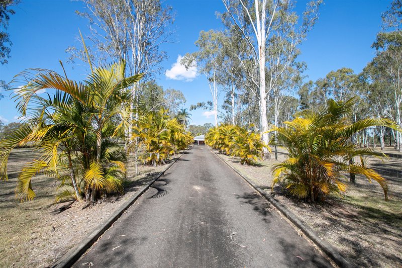 Photo - 97-111 Wearing Road, North Maclean QLD 4280 - Image 13