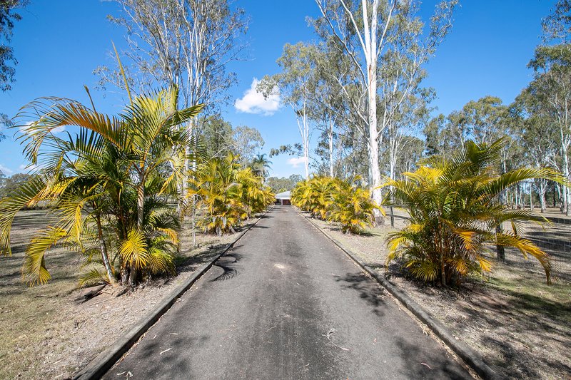 Photo - 97-111 Wearing Road, North Maclean QLD 4280 - Image 20