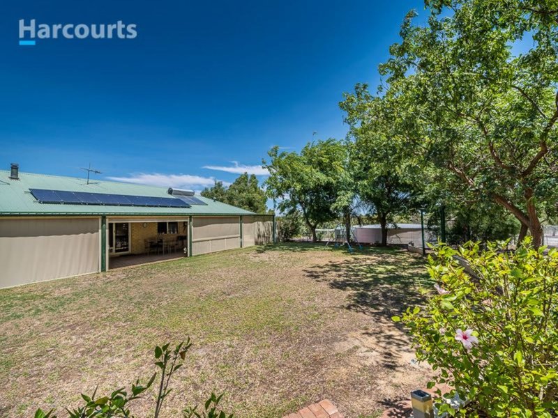 Photo - 97 Ayrshire Loop, Lower Chittering WA 6084 - Image 16