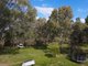 Photo - 97 Bathurst Street, Forbes NSW 2871 - Image 33