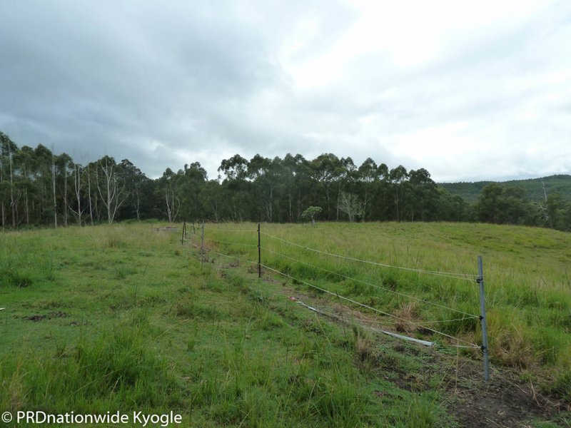 Photo - 97 Carruthers Road, Kyogle NSW 2474 - Image 10