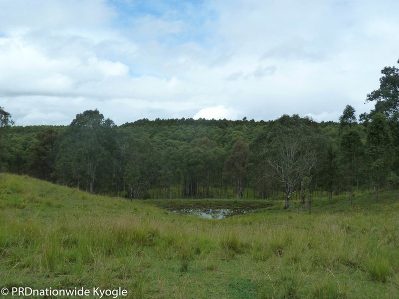 Photo - 97 Carruthers Road, Kyogle NSW 2474 - Image 11