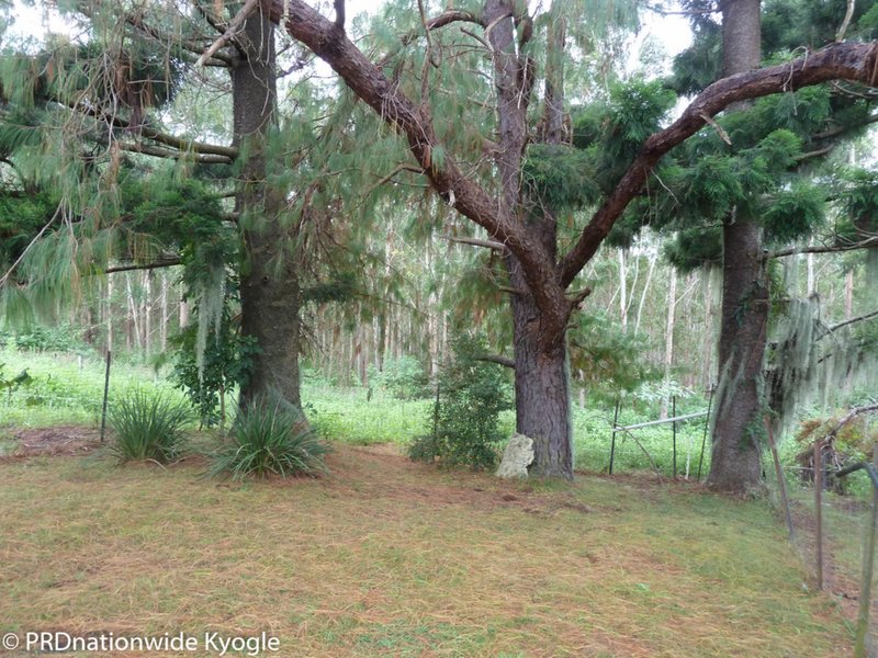 Photo - 97 Carruthers Road, Kyogle NSW 2474 - Image 18