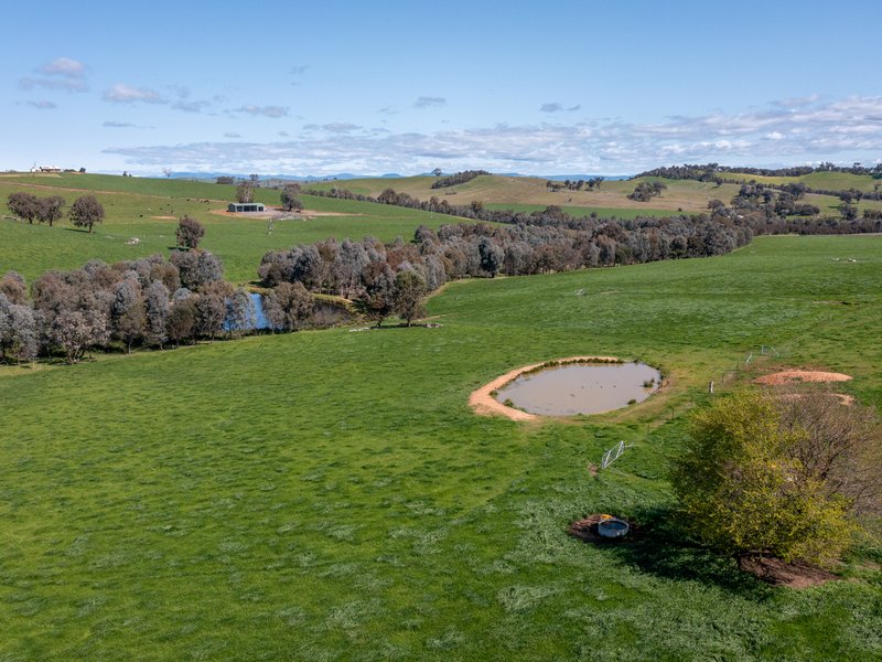 Photo - 97 Granite Road, Lurg VIC 3673 - Image 24