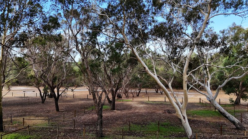 Photo - 97 Lee-Steere Drive, Mariginiup WA 6078 - Image 7