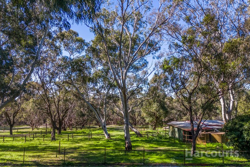 Photo - 97 Lee-Steere Drive, Mariginiup WA 6078 - Image 34