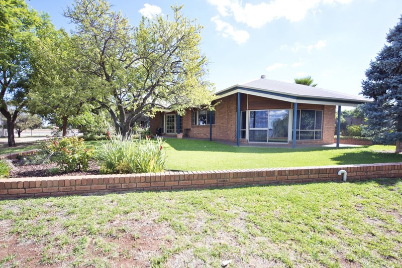 97 Murray Valley Highway, Lake Boga VIC 3584 Real Estate Industry