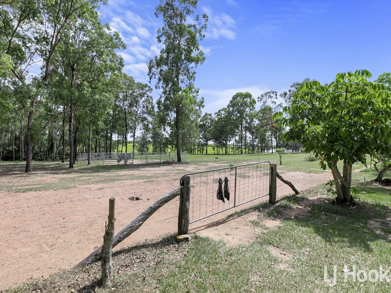 Photo - 97 Willetts Road, Bauple QLD 4650 - Image 19