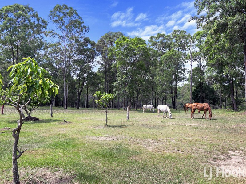 Photo - 97 Willetts Road, Bauple QLD 4650 - Image 21