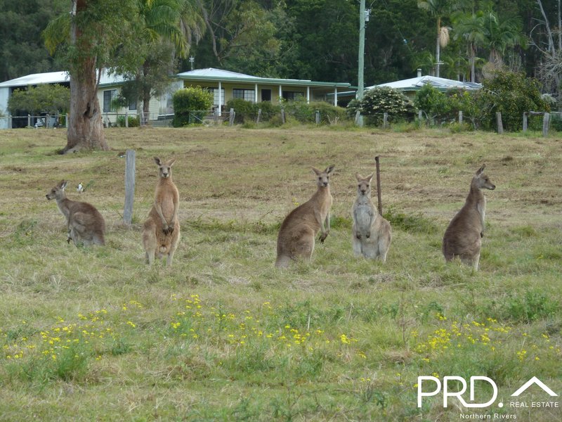 Photo - 97 Woods Road, Dobies Bight NSW 2470 - Image