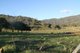 Photo - 97 Woolomin Gap Road, Woolomin NSW 2340 - Image 4