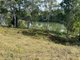 Photo - 970 River Road, Ferney QLD 4650 - Image 2