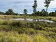 Photo - 970 River Road, Ferney QLD 4650 - Image 8