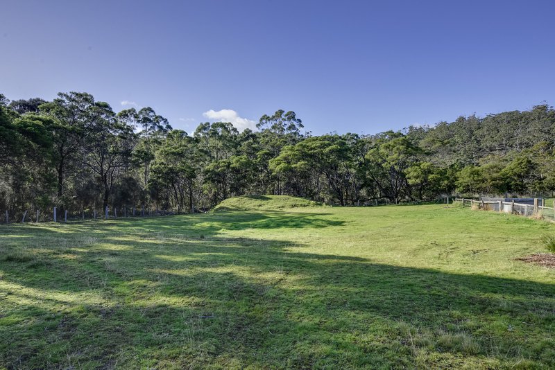 Photo - 9702 Tasman Highway, Triabunna TAS 7190 - Image 12