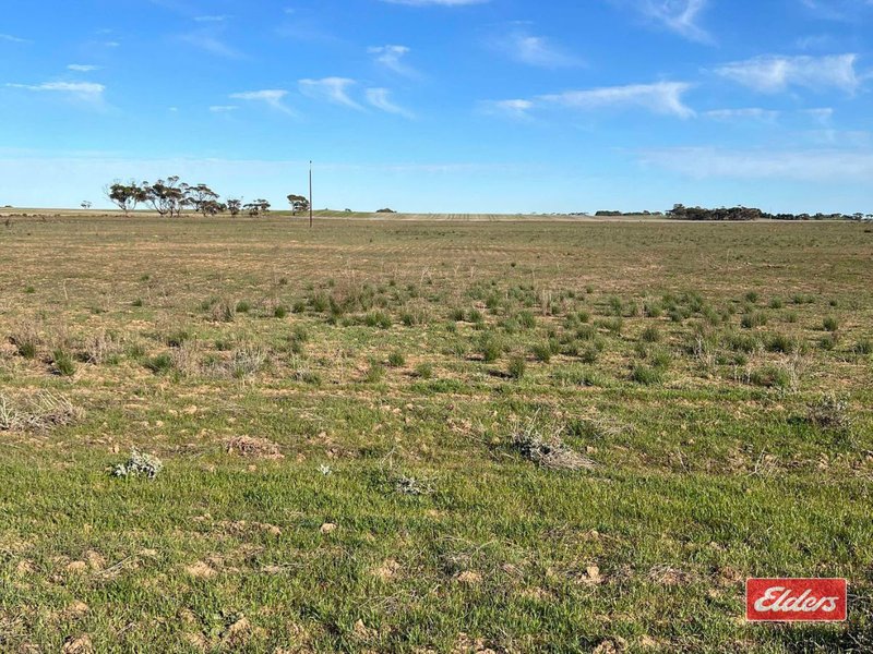 Photo - 976 Racecourse Road, Balaklava SA 5461 - Image 12