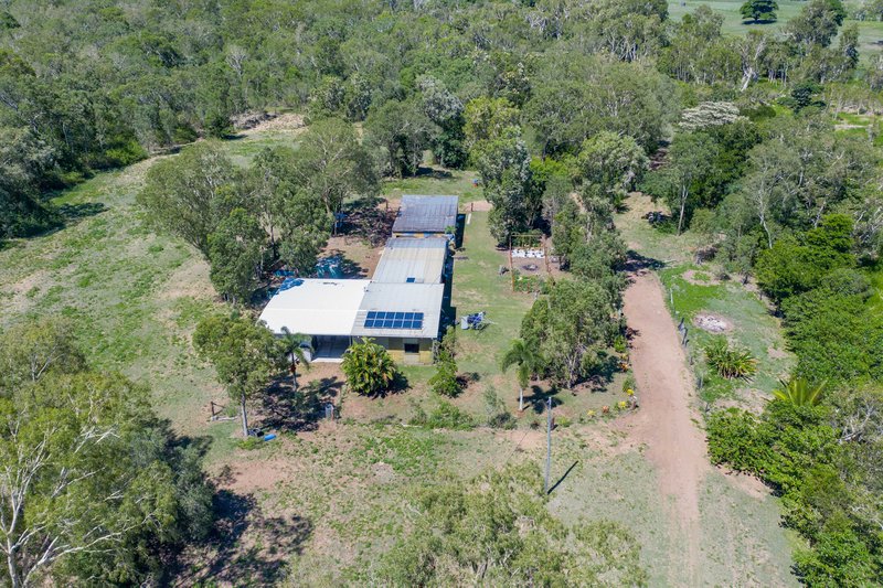 Photo - 98 Allan Road, Conway QLD 4800 - Image 4