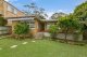 Photo - 98 Beacon Hill Road, Beacon Hill NSW 2100 - Image 6