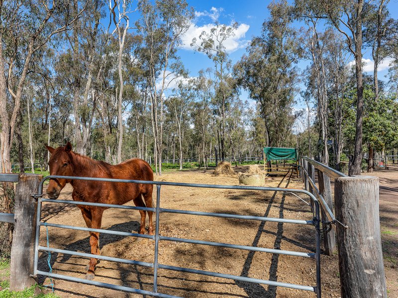 Photo - 98 Clarendon Road, Lowood QLD 4311 - Image 25