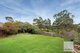 Photo - 98 Clarke Drive, Gladstone Park VIC 3043 - Image 14