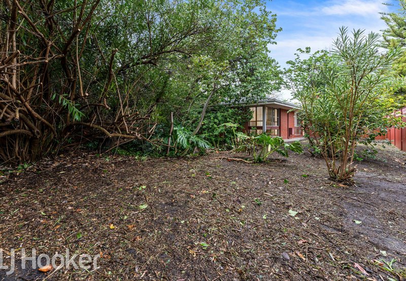 Photo - 98 Hordern Street, Victoria Park WA 6100 - Image 6