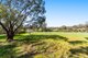 Photo - 98 Johnston Road, Nannup WA 6275 - Image 9