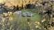 Photo - 98 Kildeys Road, Cootharaba QLD 4565 - Image 1