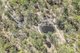 Photo - 98 Mcilwraith Road, Mcilwraith QLD 4671 - Image 12