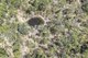 Photo - 98 Mcilwraith Road, Mcilwraith QLD 4671 - Image 13