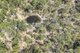 Photo - 98 Mcilwraith Road, Mcilwraith QLD 4671 - Image 14