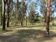 Photo - 98 Mungay Flat Road, Willawarrin NSW 2440 - Image 1