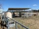 Photo - 98 Old Rifle Range Road, Coulson QLD 4310 - Image 11