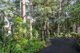 Photo - 98 Towen Mount Road, Towen Mountain QLD 4560 - Image 6