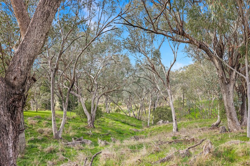 Photo - 98 Tullamore Road, Tamworth NSW 2340 - Image 14