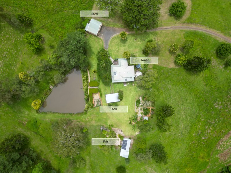 Photo - 98 Tuntable Creek Road, The Channon NSW 2480 - Image 23