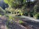 Photo - 98 Tuntable Creek Road, The Channon NSW 2480 - Image 28