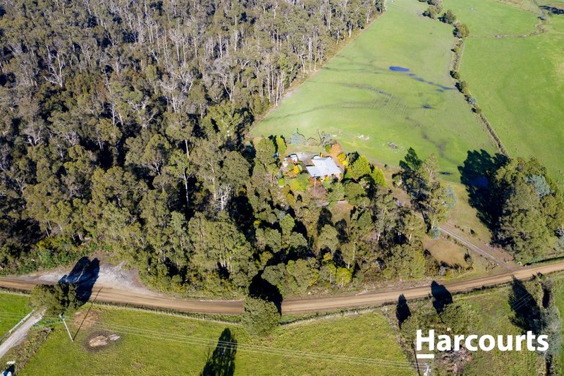 Photo - 981 Jensen'S Road, Scottsdale TAS 7260 - Image 4