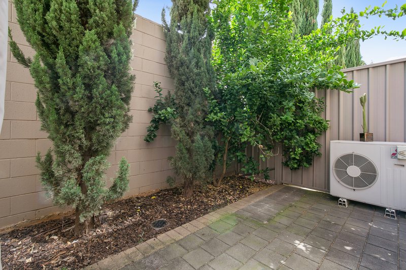 Photo - 9/82a Walkerville Terrace, Walkerville SA 5081 - Image 10