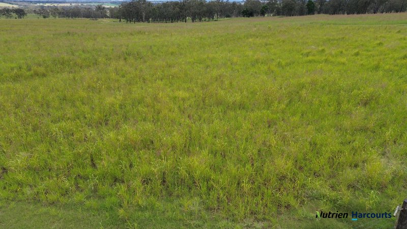 Photo - 984 Ellesmere Road, Kumbia QLD 4610 - Image 18