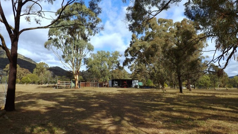 Photo - 984 Jones Reserve Road, Doyles Creek NSW 2330 - Image 19